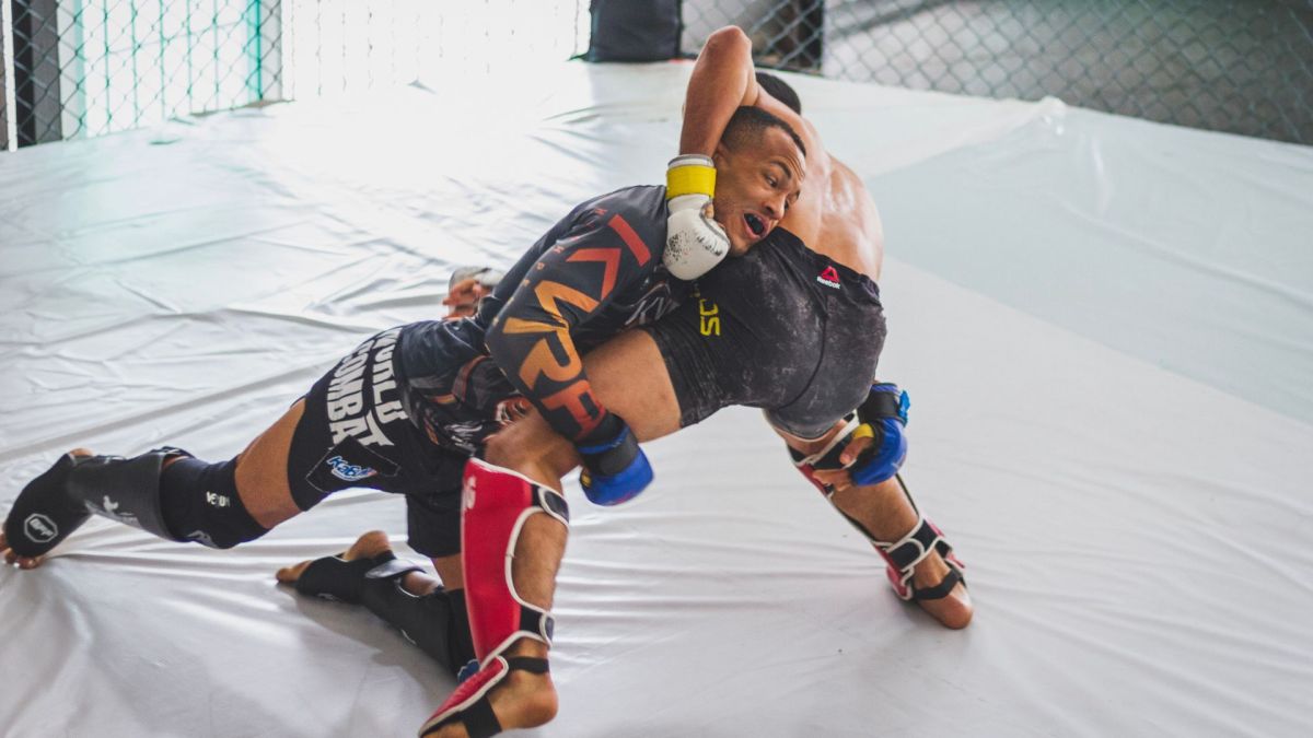 Optimal Combat tournament software for amateur martial arts